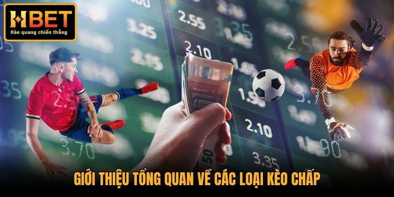 Giới thiệu tổng quan về các loại kèo chấp